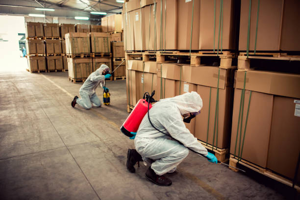Best Pest Prevention Services  in Waialua, HI