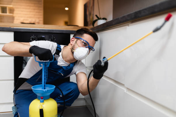 Pest Prevention Services in Waialua, HI