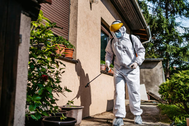 Best Residential Pest Control  in Waialua, HI