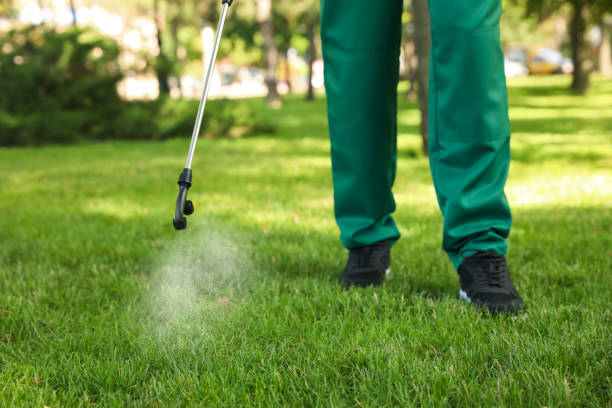 Best Commercial Pest Control Services  in Waialua, HI